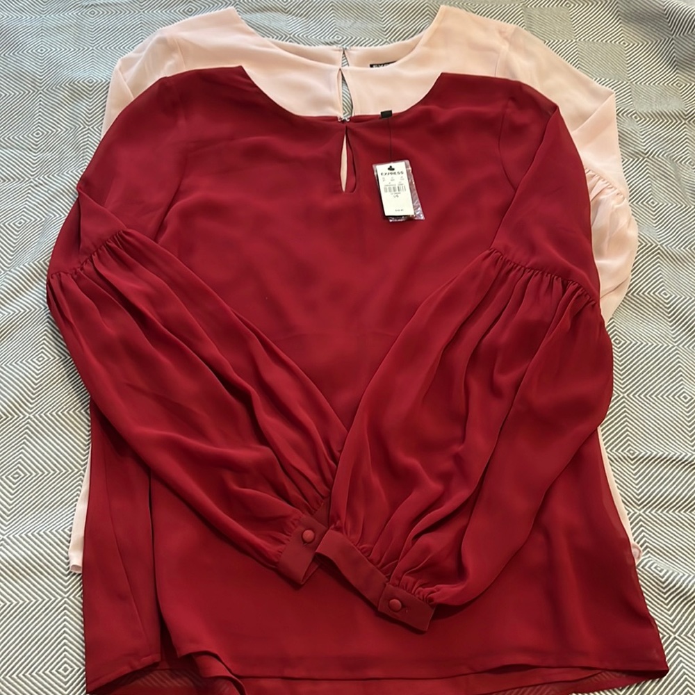 Set of two balloon sleeve top from Express